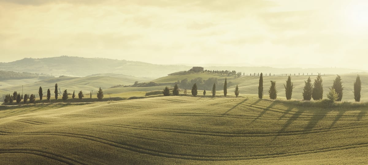 Vins de Toscane