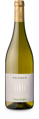 Pinot Grigio 2024
