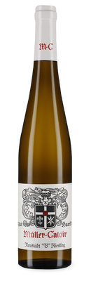 Neustadt V Riesling sec 2022