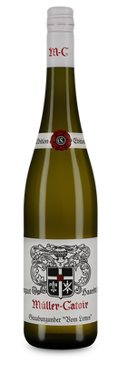 Pinot gris vom Letten sec 2023