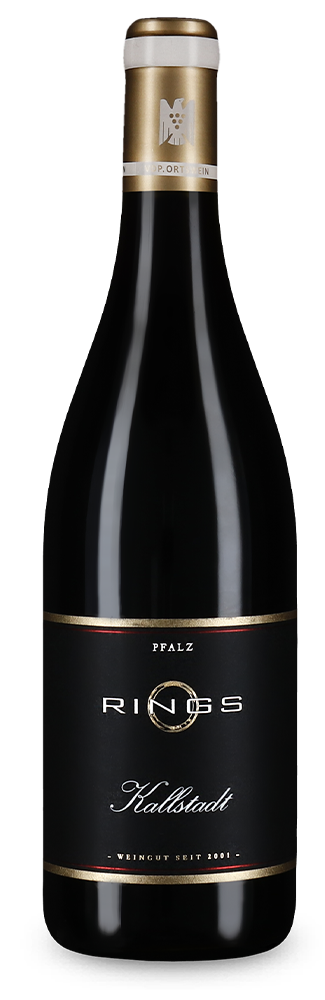 Pinot noir Kallstadt sec 2022