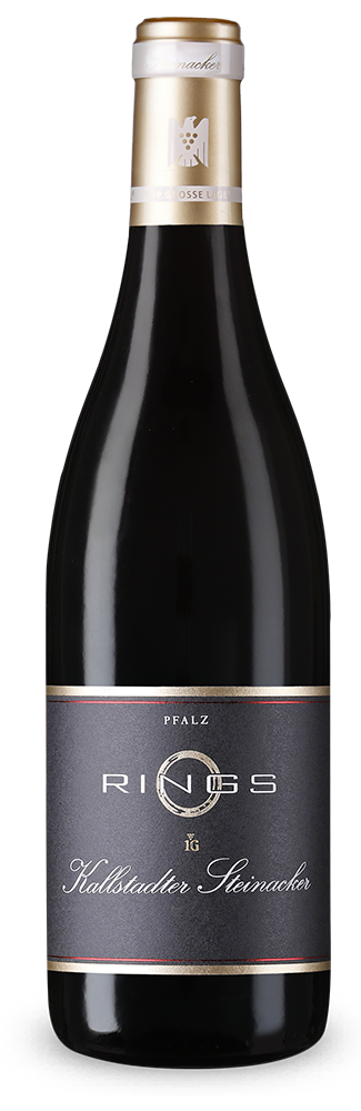 Kallstadter Steinacker Pinot noir VDP.Erste Lage sec 2022