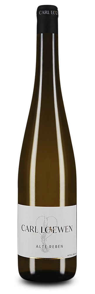 Alte Reben Riesling sec 2024