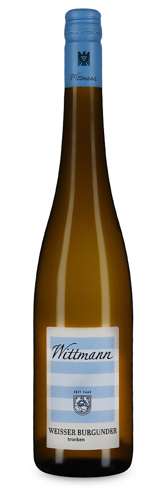 Pinot blanc sec 2024