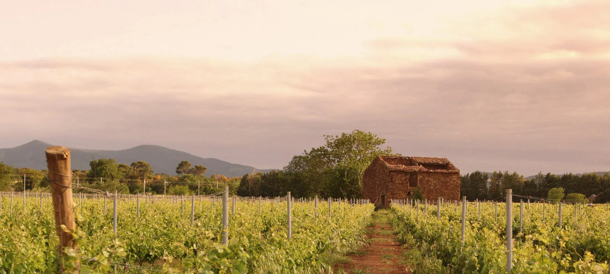 Vins d'Australie