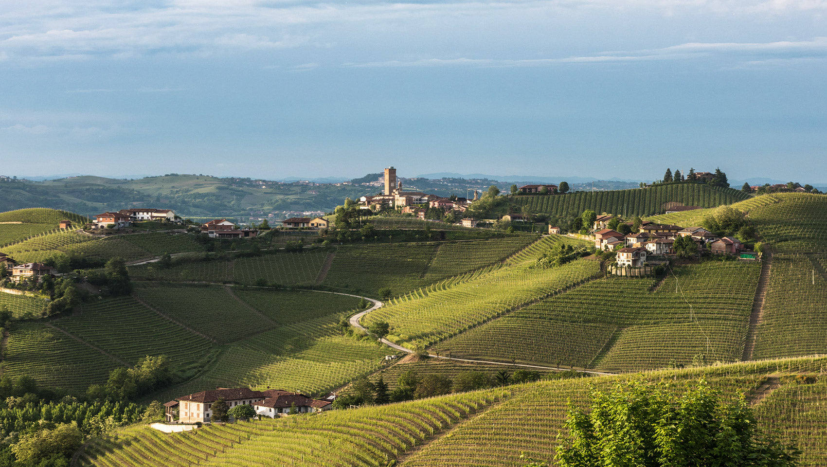 Vins du Piémont