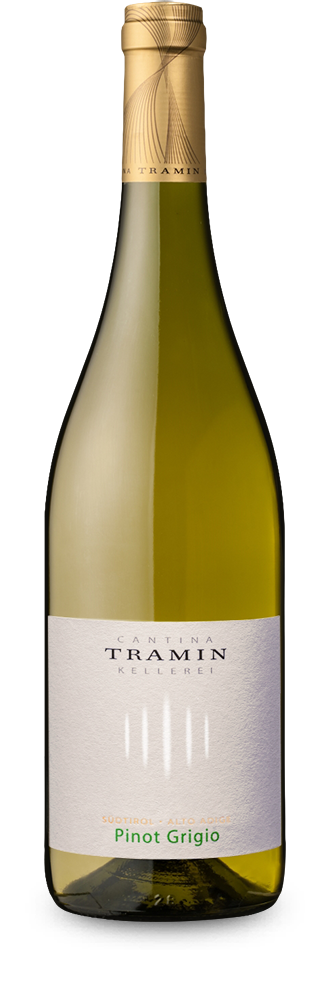 Pinot Grigio 2024