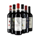 Wine in Black assortiment Best of Toskana