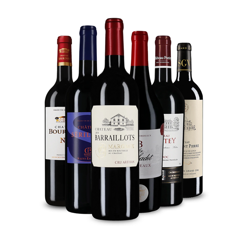 Offre découverte Wine in Black 'Tour de Bordeaux'