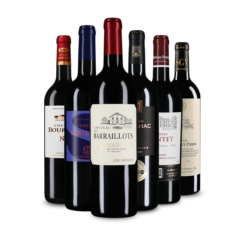 Offre découverte Wine in Black 'Tour de Bordeaux'