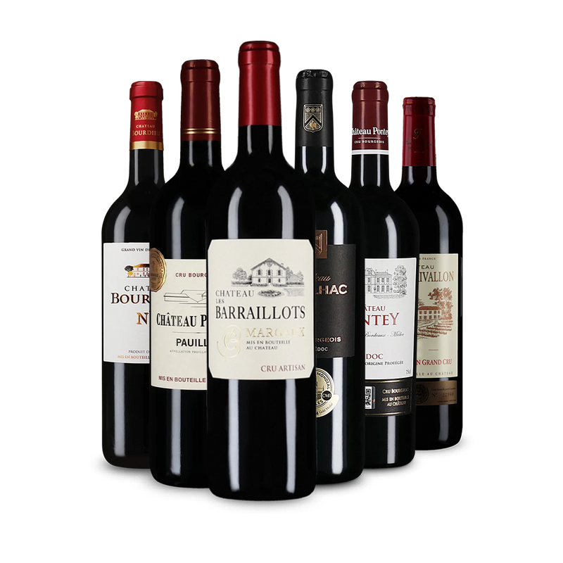Offre découverte Wine in Black 'Tour de Bordeaux'