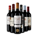 Offre découverte Wine in Black 'Tour de Bordeaux'