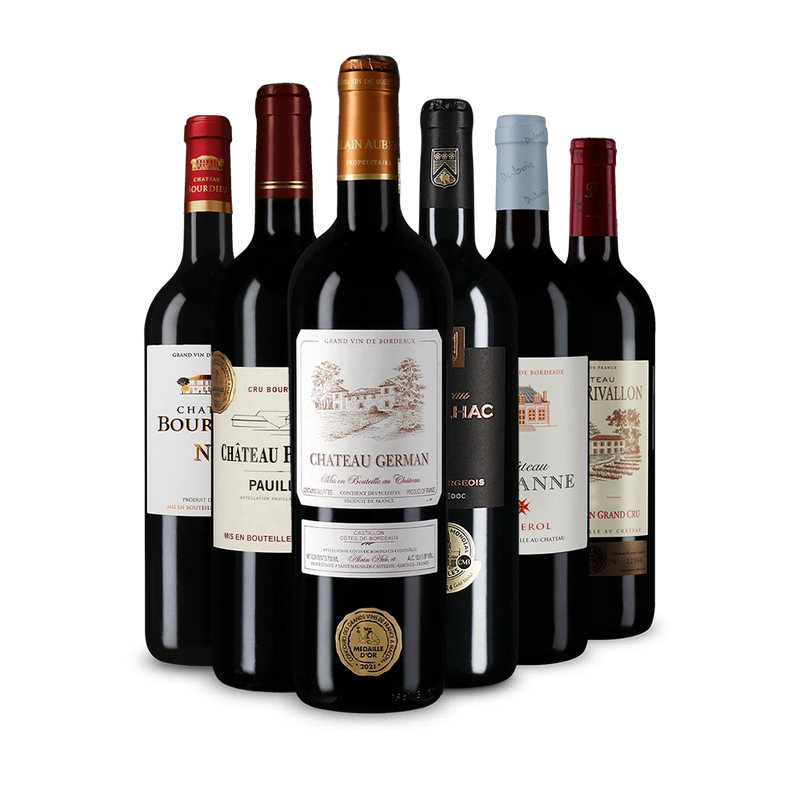 Offre découverte Wine in Black 'Tour de Bordeaux'