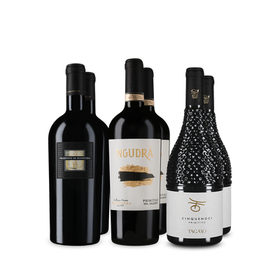 Offre Wine in Black Primitivo Premium