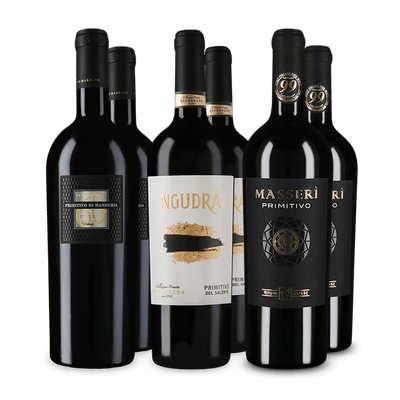 Offre Wine in Black Primitivo Premium