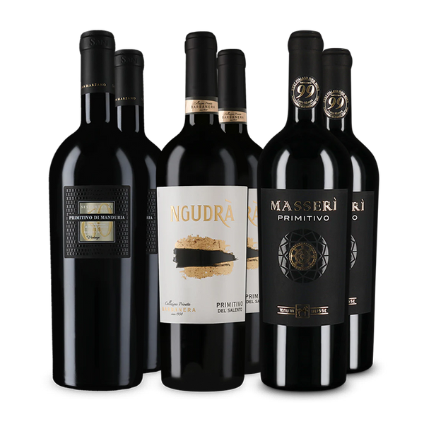Offre Wine in Black Primitivo Premium