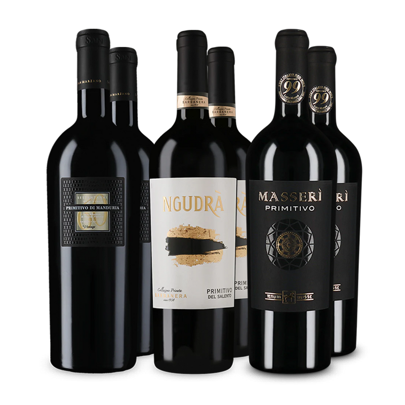 Offre Wine in Black Primitivo Premium