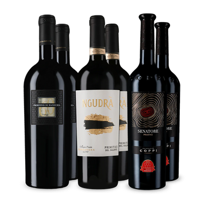 Offre Wine in Black Primitivo Premium