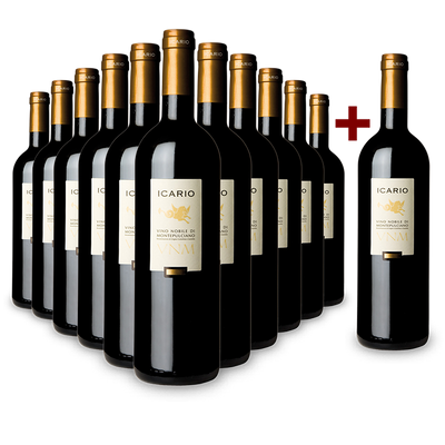 Offre 11+1 bouteilles Icario Vino Nobile di Montepulciano 2018