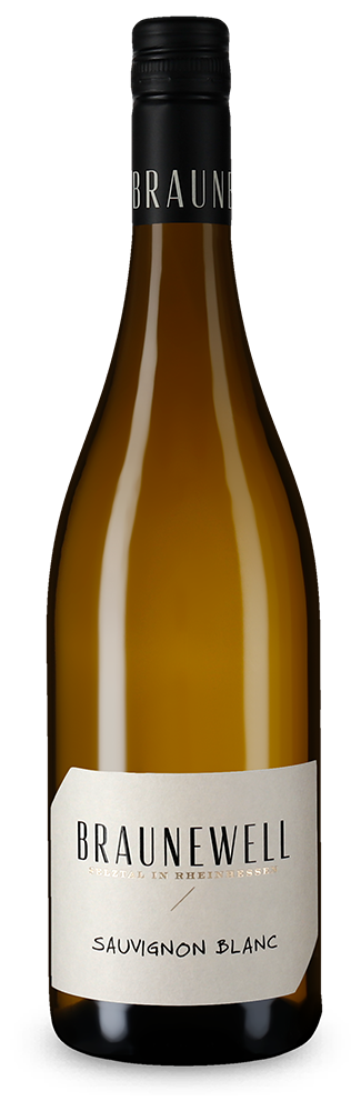 Sauvignon Blanc aus dem Selztal sec 2022