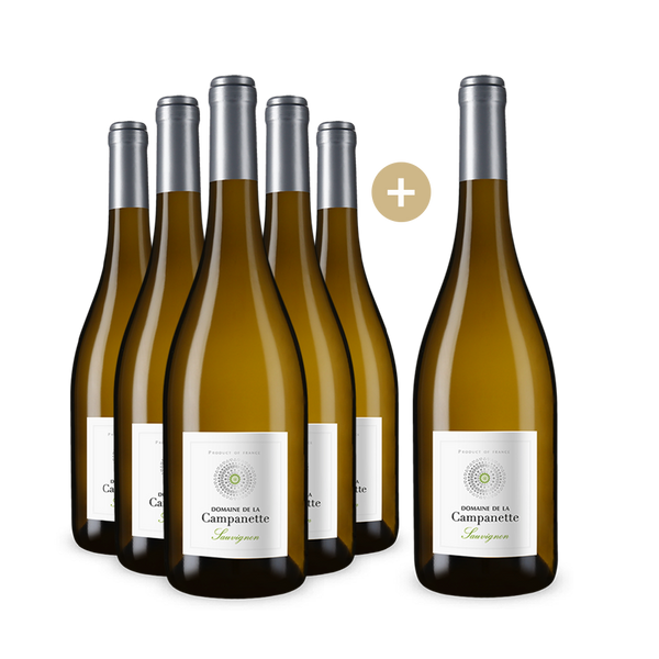 Offre 5+1 bouteilles Sauvignon Blanc Touraine 2022