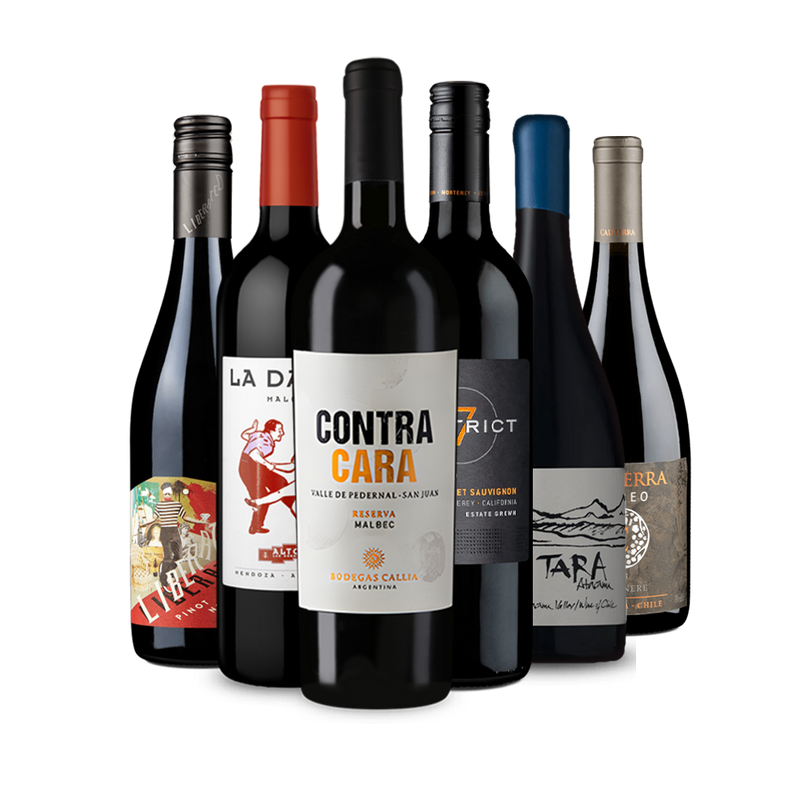 Offre 6 bouteilles de vins rouge 'Panamerica Tour'