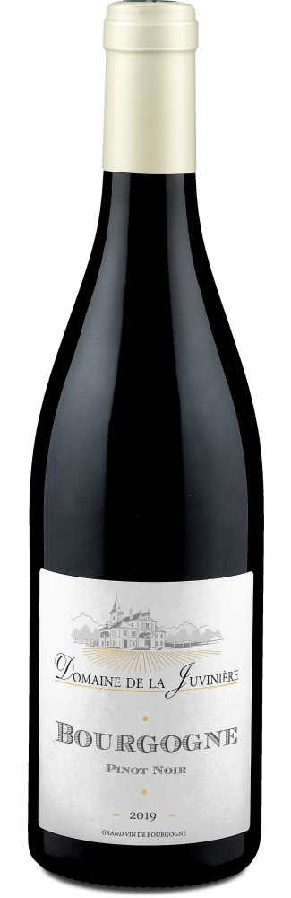 Pinot Noir Côte d’Or 2019