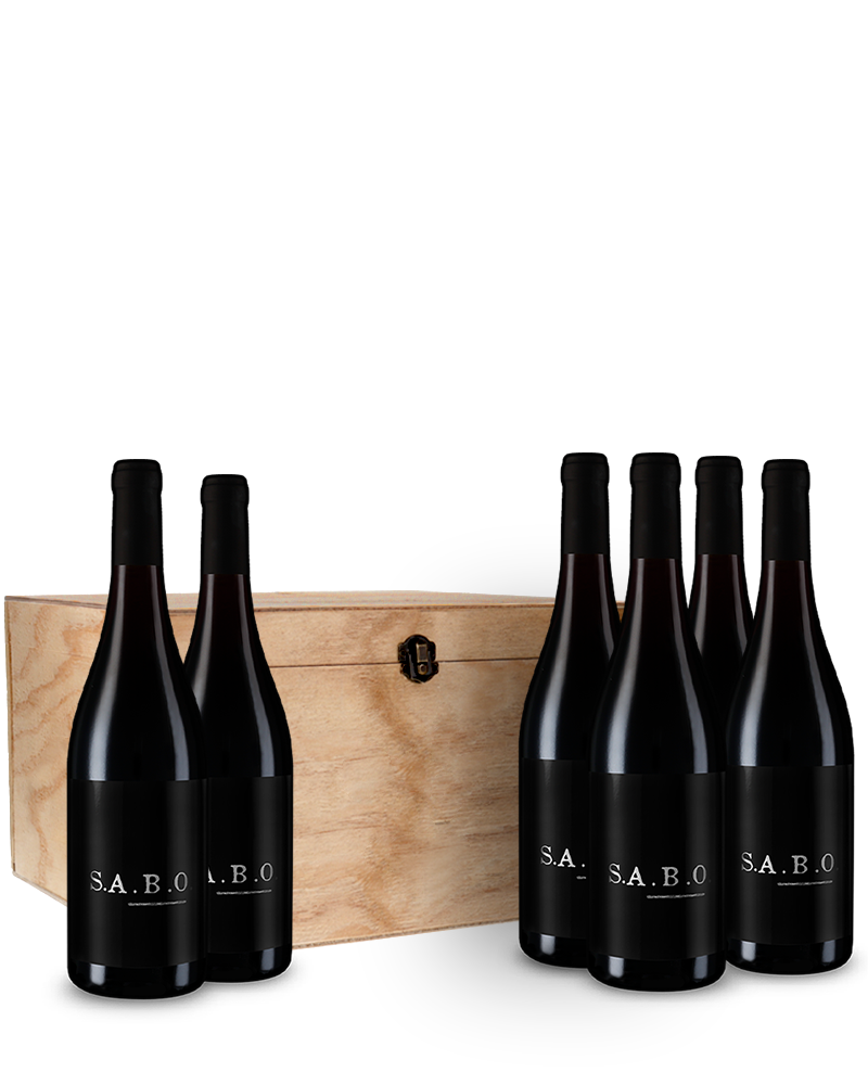 Offre 6 bouteilles Luddite Sabo 2020 dans la caisse bois d’origine