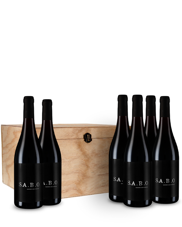 Offre 6 bouteilles Luddite Sabo 2020 dans la caisse bois d’origine