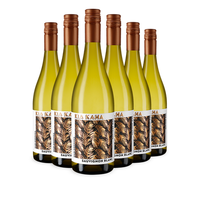 6 bouteilles Sauvignon Blanc Marlborough 2023