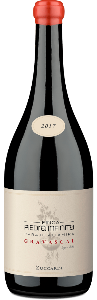 Piedra Infinita 'Gravascal' Valle de Uco 2017