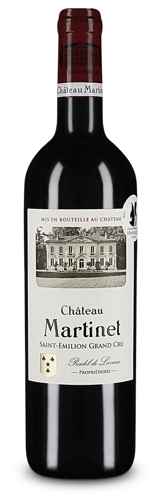 Saint-Émilion Grand Cru 2020 – Recommandation personnelle