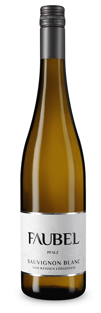 Sauvignon Blanc vom weißen Lössgestein sec 2024