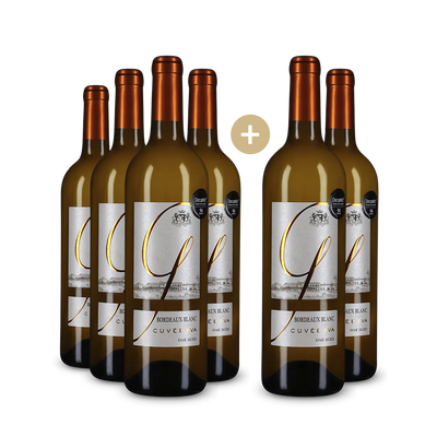Offre 4+2 bouteilles Bordeaux Blanc 2023