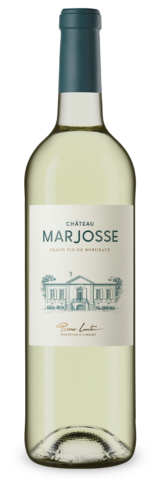 Entre-deux-Mers Bordeaux Blanc 2024