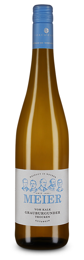 Pinot gris vom Kalk sec 2024