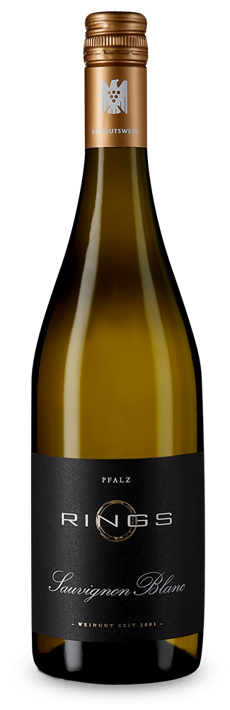 Sauvignon blanc sec 2024