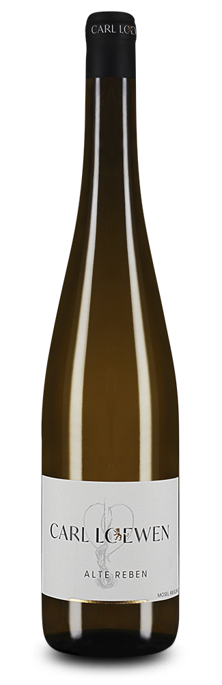 Alte Reben Riesling sec 2024