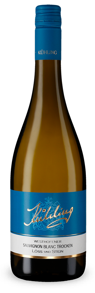 Westhofener Sauvignon blanc Löss und Stein sec 2024