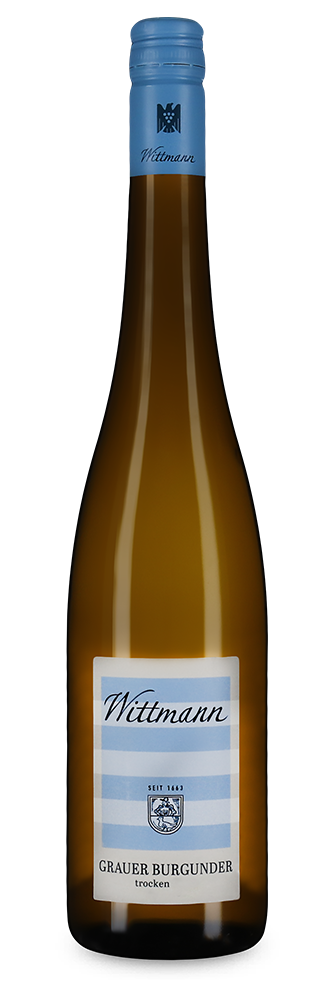Pinot gris sec 2024