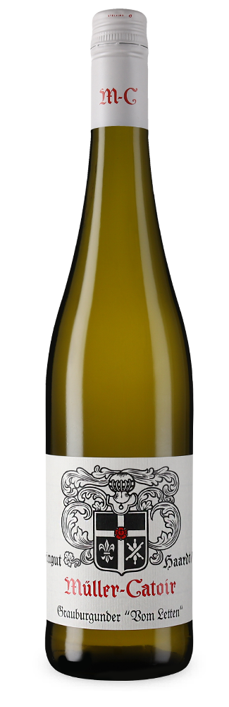 Pinot gris Vom Letten sec 2024