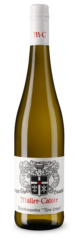 Pinot blanc vom Letten sec 2024