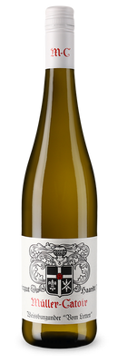 Pinot blanc vom Letten sec 2024