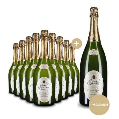 9 bouteilles Aimery Grande Cuvée 1531 + bouteille magnum