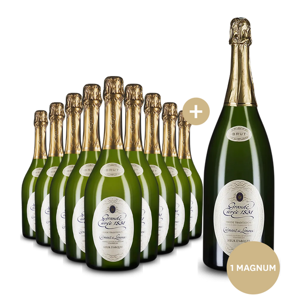 9 bouteilles Aimery Grande Cuvée 1531 + bouteille magnum