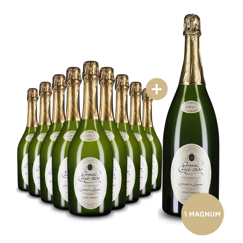 9 bouteilles Aimery Grande Cuvée 1531 + bouteille magnum