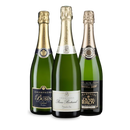 Offre Champagne de luxe : 3 bouteilles irrésistibles !