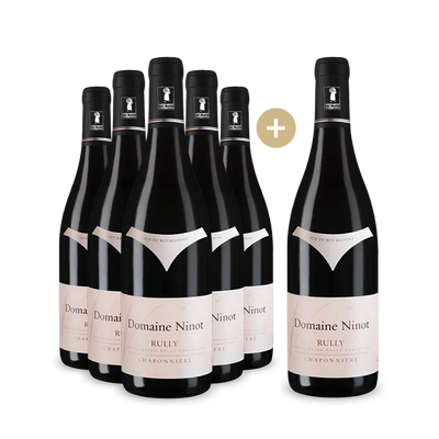 5 +1 bouteilles Rully Chaponnière 2022
