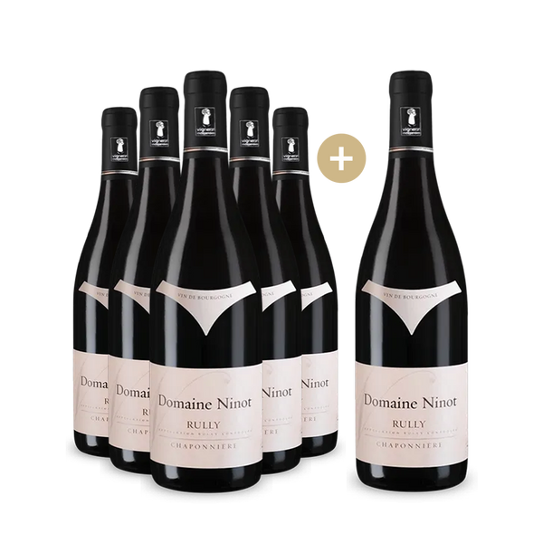 5 +1 bouteilles Rully Chaponnière 2022