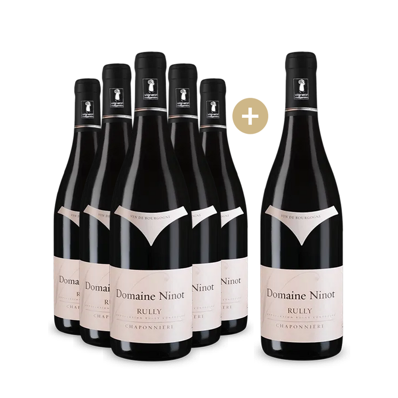 5 +1 bouteilles Rully Chaponnière 2022